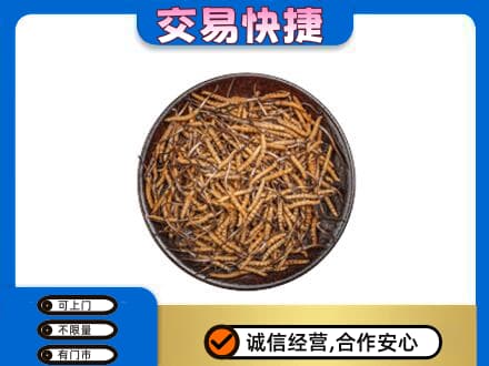 河口区高价回收散虫草