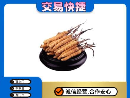 河口区礼品回收散虫草.jpg